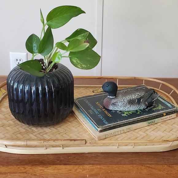 Meet your Posher, Breezly - Picture 1 of 1